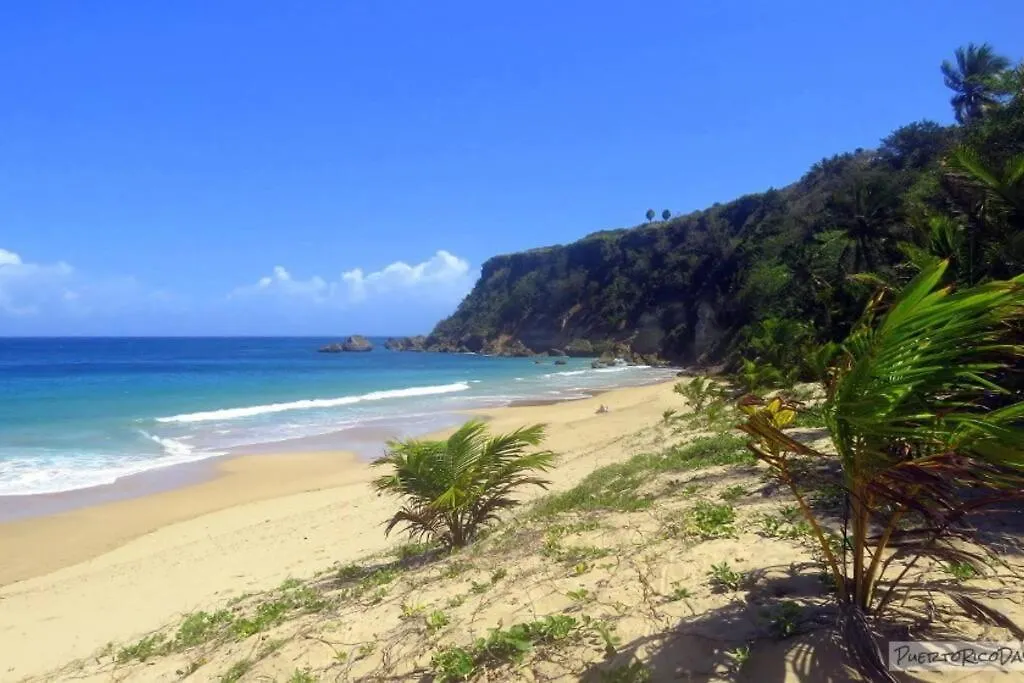 Ramey Loft 1 Apartment Aguadilla